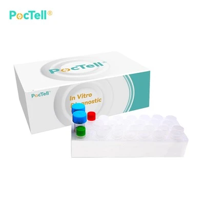 Chlamydia pneumoniae PCR készlet